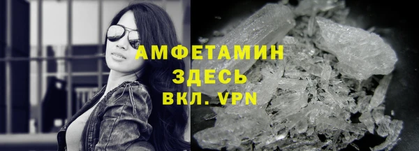 индика Богородск