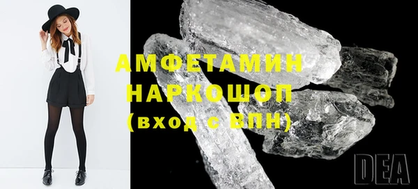индика Богородск