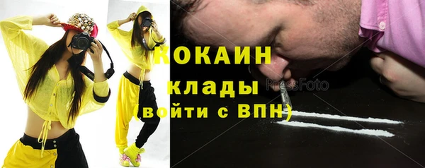 индика Богородск