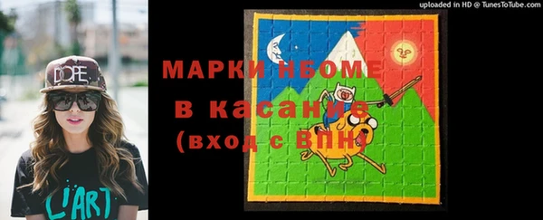 сатива Бронницы