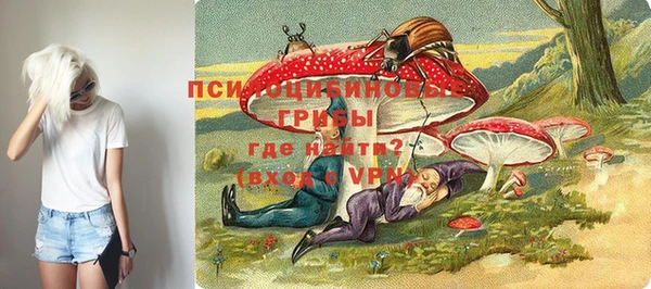 мяу мяу кристалл Богданович