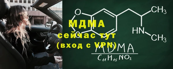 индика Богородск