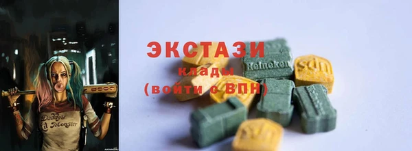 индика Богородск