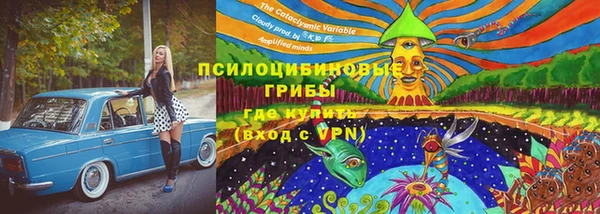 индика Богородск