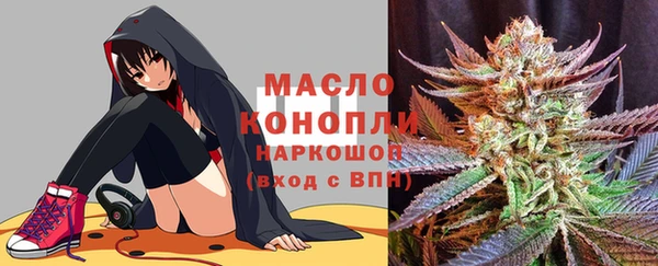 индика Богородск