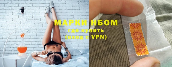 индика Богородск