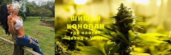 спайс Бородино