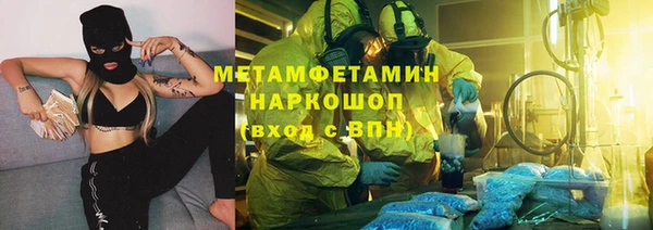 индика Богородск
