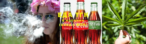 сатива Бронницы
