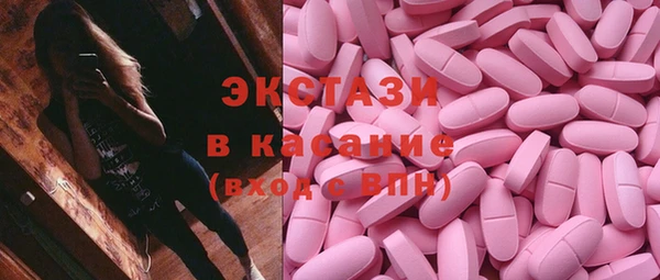 индика Богородск